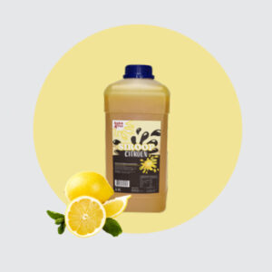 Syrups Lemon (2 l)